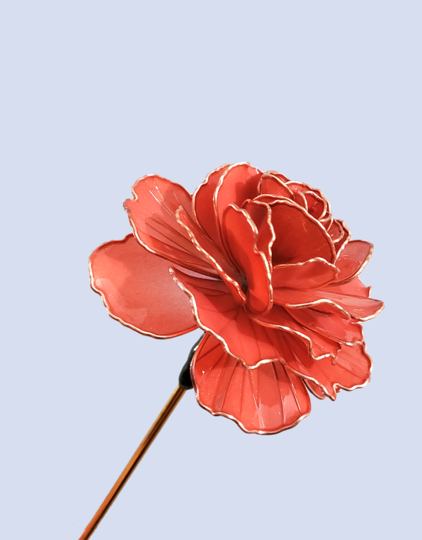 Carnation (2)